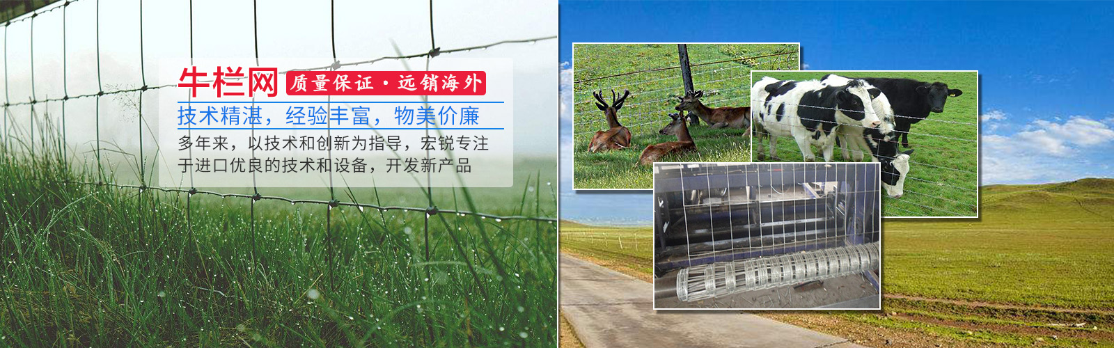 深州市宏銳五金網業制品有限公司